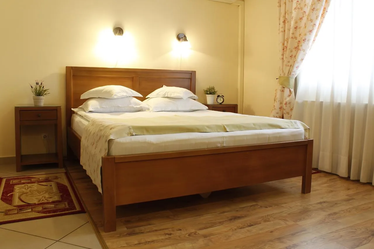 Vila Toparceanu Otopeni Hotel Guest house